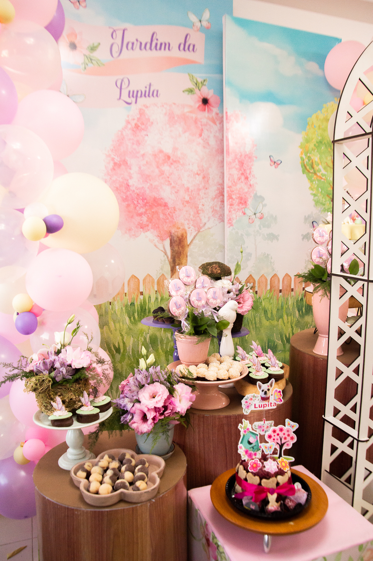 aniversário pet, natal rn, festa pet em natal, aniversario pet em natal, bolo pet, comemoração, evento pet, fotografa pet em natal rn, fotografia pet, fotografia de cães, fotógrafa pet, fotografia de cães em natal, chihuahua natal