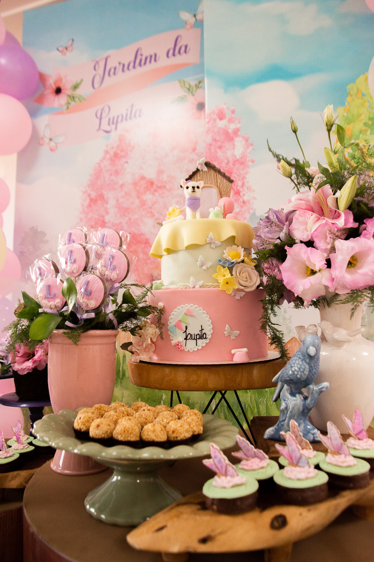 aniversário pet, natal rn, festa pet em natal, aniversario pet em natal, bolo pet, comemoração, evento pet, fotografa pet em natal rn, fotografia pet, fotografia de cães, fotógrafa pet, fotografia de cães em natal, chihuahua natal