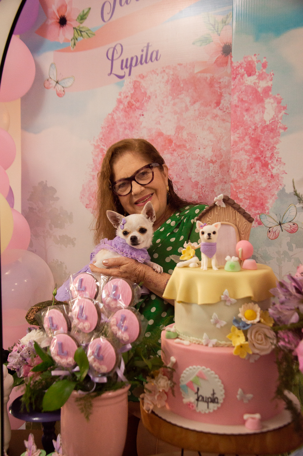 aniversário pet, natal rn, festa pet em natal, aniversario pet em natal, bolo pet, comemoração, evento pet, fotografa pet em natal rn, fotografia pet, fotografia de cães, fotógrafa pet, fotografia de cães em natal, chihuahua natal