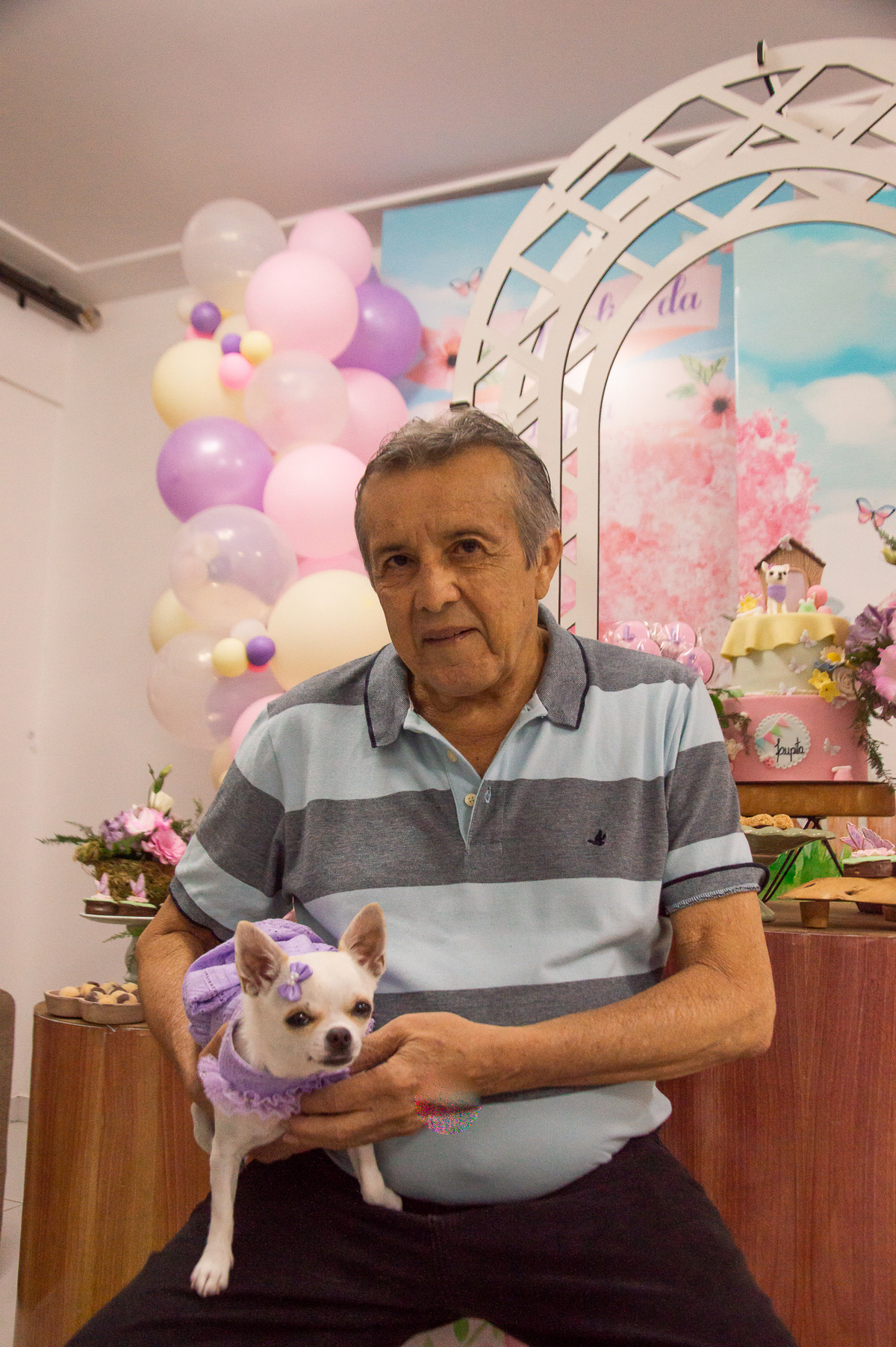 aniversário pet, natal rn, festa pet em natal, aniversario pet em natal, bolo pet, comemoração, evento pet, fotografa pet em natal rn, fotografia pet, fotografia de cães, fotógrafa pet, fotografia de cães em natal, chihuahua natal