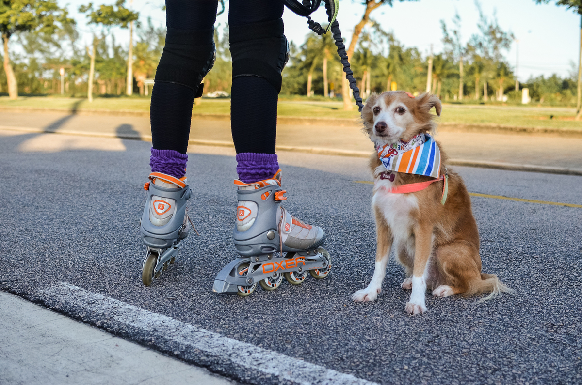 ensaio pet em natal, alphaville, cachorro, fotografia de animais, fotografia pet em natal rn, fotografa pet, fotografa de cachorro, natal rn, ensaio urbano