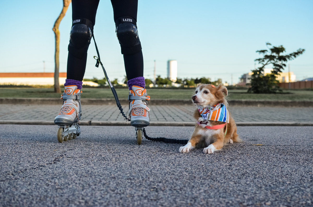 ensaio pet em natal, alphaville, cachorro, fotografia de animais, fotografia pet em natal rn, fotografa pet, fotografa de cachorro, natal rn, ensaio urbano