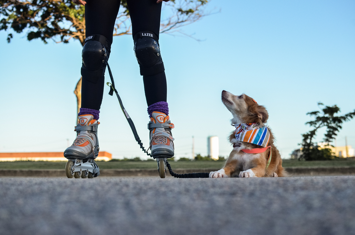 ensaio pet em natal, alphaville, cachorro, fotografia de animais, fotografia pet em natal rn, fotografa pet, fotografa de cachorro, natal rn, ensaio urbano