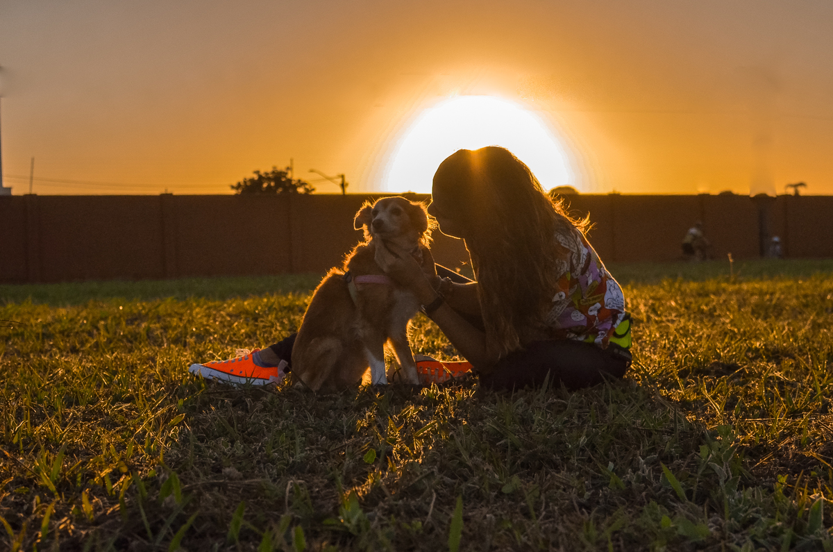 ensaio pet em natal, alphaville, cachorro, fotografia de animais, fotografia pet em natal rn, fotografa pet, fotografa de cachorro, natal rn, ensaio urbano