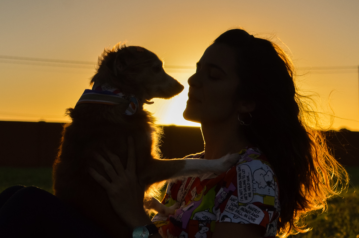 ensaio pet em natal, alphaville, cachorro, fotografia de animais, fotografia pet em natal rn, fotografa pet, fotografa de cachorro, natal rn, ensaio urbano