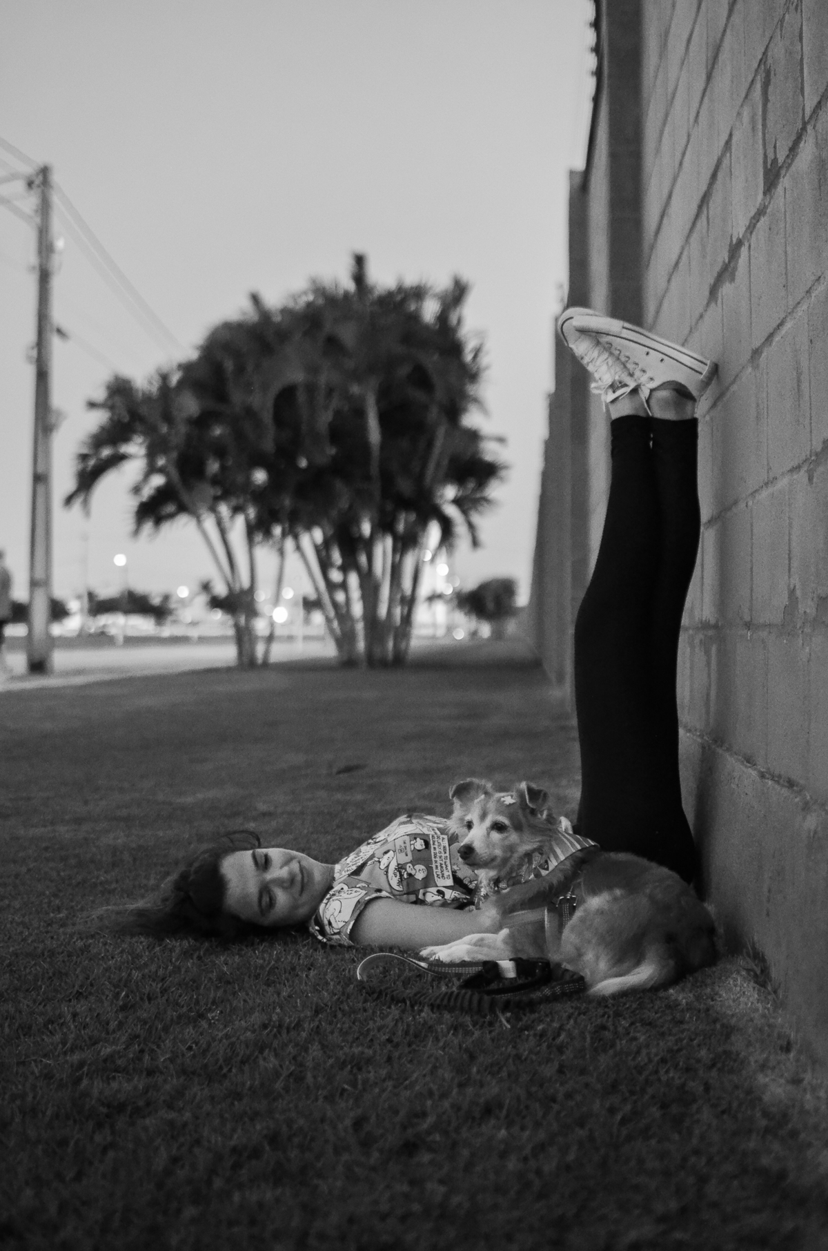 ensaio pet em natal, alphaville, cachorro, fotografia de animais, fotografia pet em natal rn, fotografa pet, fotografa de cachorro, natal rn, ensaio urbano