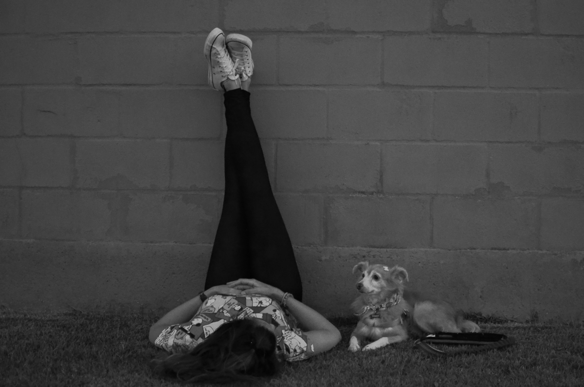 ensaio pet em natal, alphaville, cachorro, fotografia de animais, fotografia pet em natal rn, fotografa pet, fotografa de cachorro, natal rn, ensaio urbano