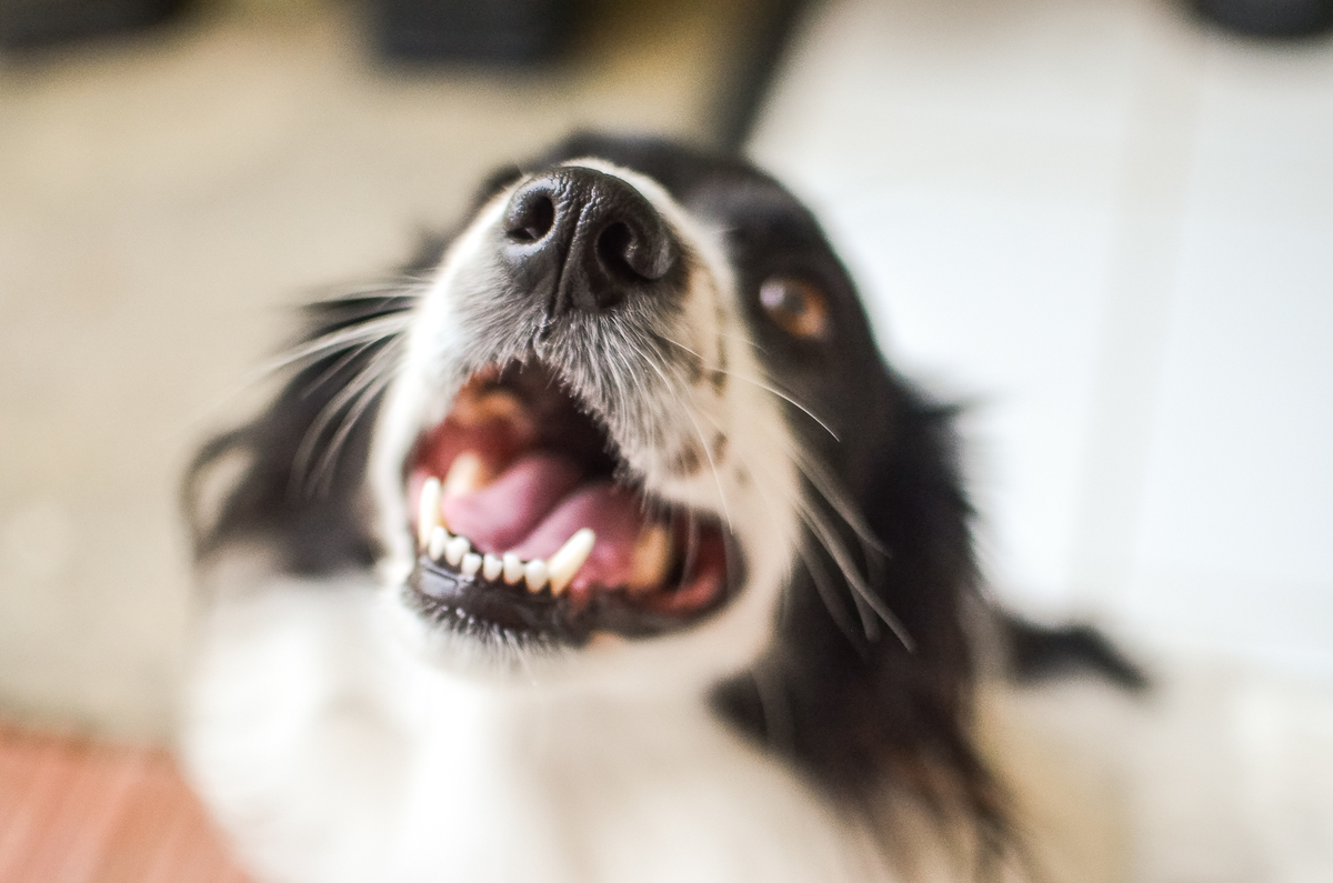 ensaio de familia, fotografa de familia em natal, ensaio infantil, criança, fotografia afetiva, natal rn, fotografia documental