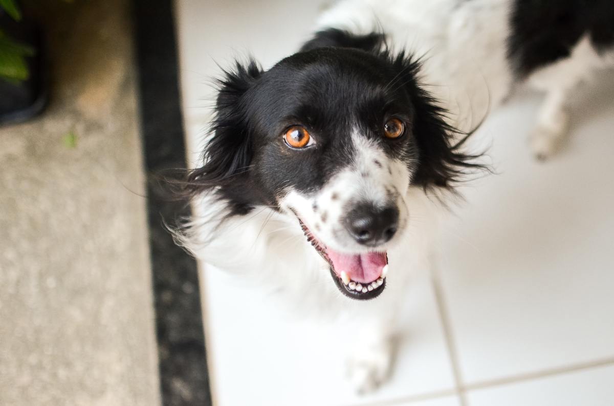 ensaio de familia, fotografa de familia em natal, ensaio infantil, criança, fotografia afetiva, natal rn, fotografia documental