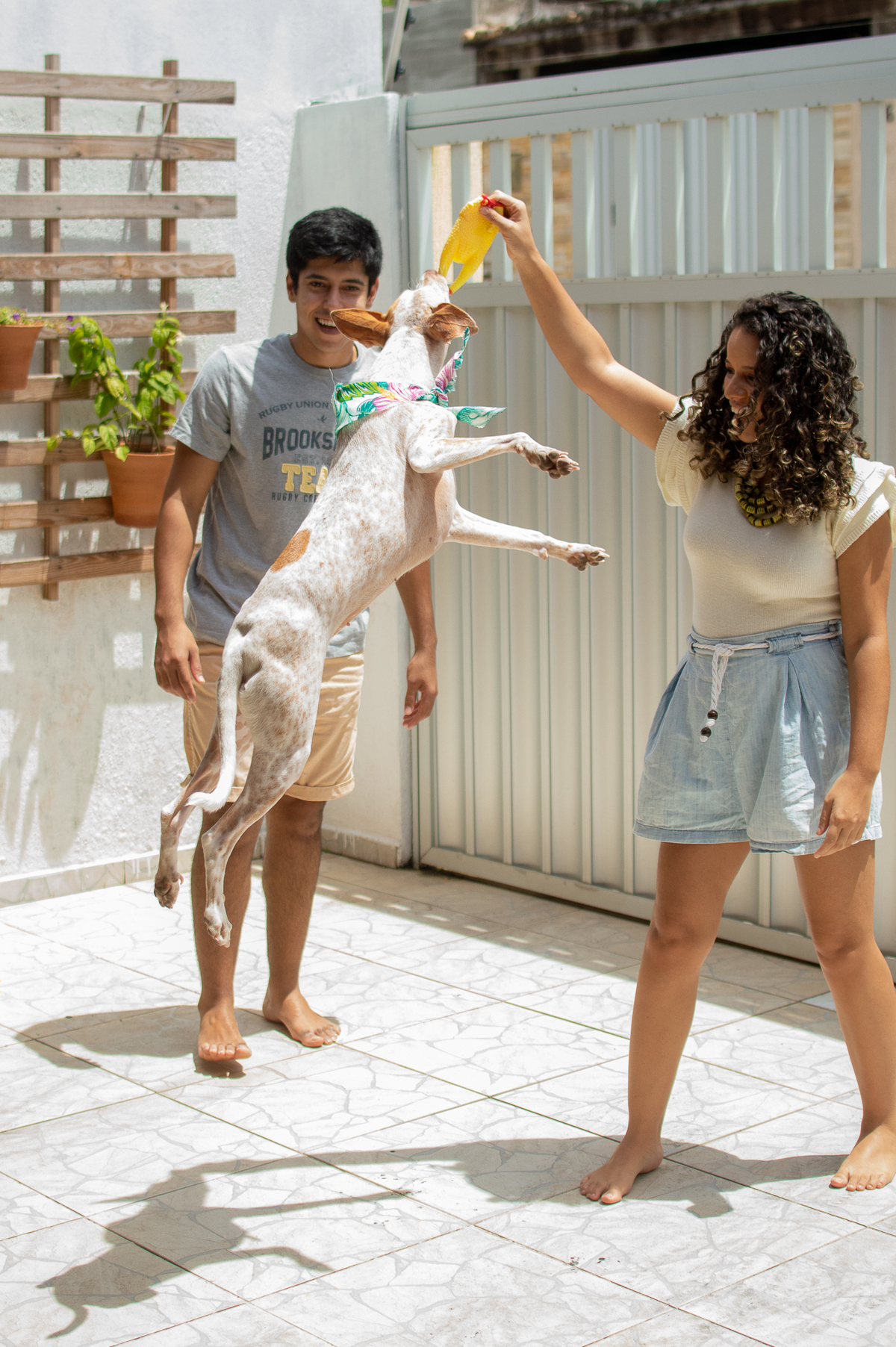 Ensaio em casa, ensaio fotografico com pet, ensaio de gestante, fotografia pet em familia, fotografa de cachorro em natal, fotografia de cachorro, foto pet, natal rn, gravidez, ensaio revelação