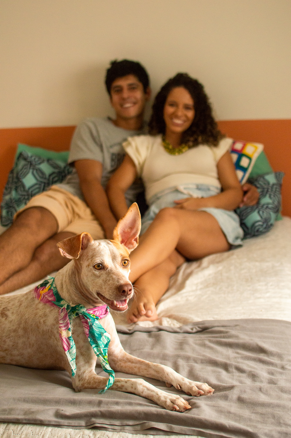 Ensaio em casa, ensaio fotografico com pet, ensaio de gestante, fotografia pet em familia, fotografa de cachorro em natal, fotografia de cachorro, foto pet, natal rn, gravidez, ensaio revelação