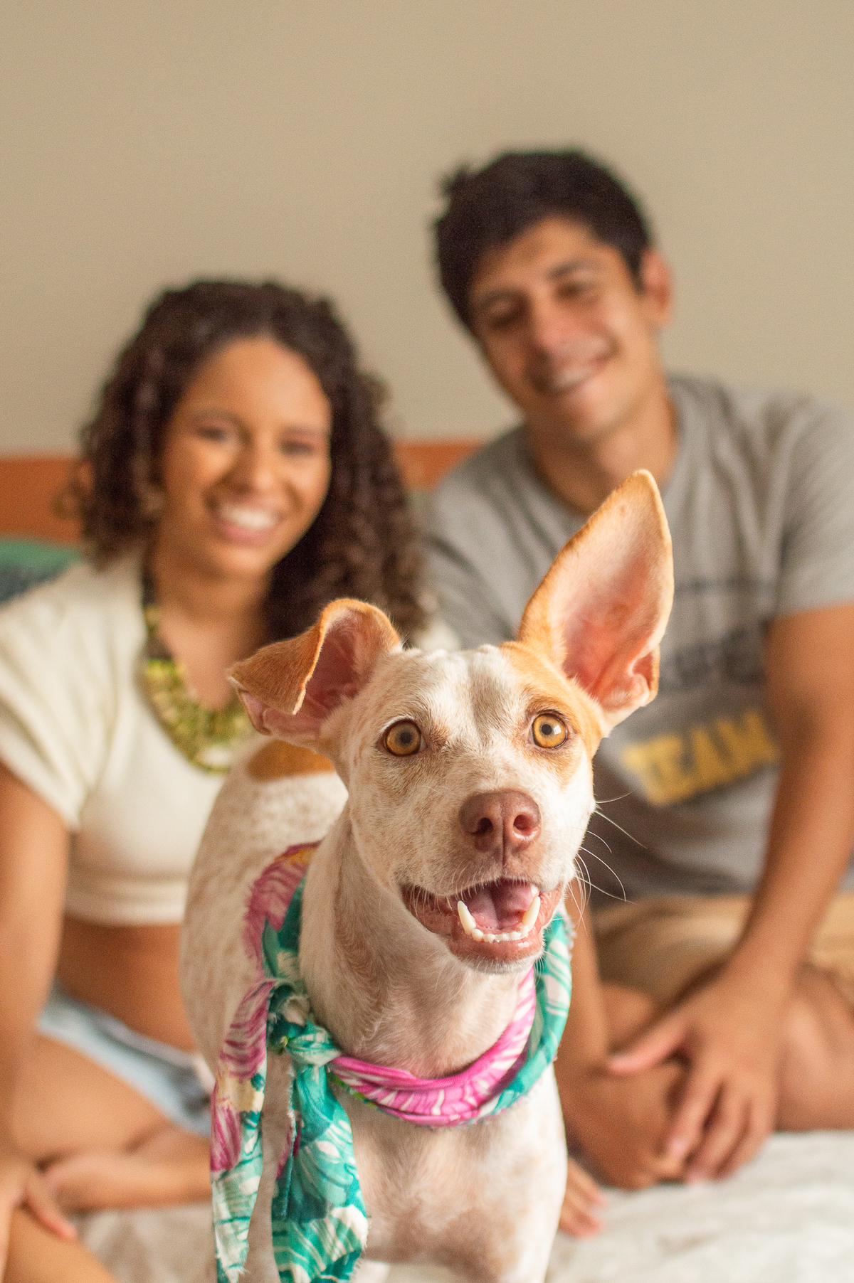 Ensaio em casa, ensaio fotografico com pet, ensaio de gestante, fotografia pet em familia, fotografa de cachorro em natal, fotografia de cachorro, foto pet, natal rn, gravidez, ensaio revelação