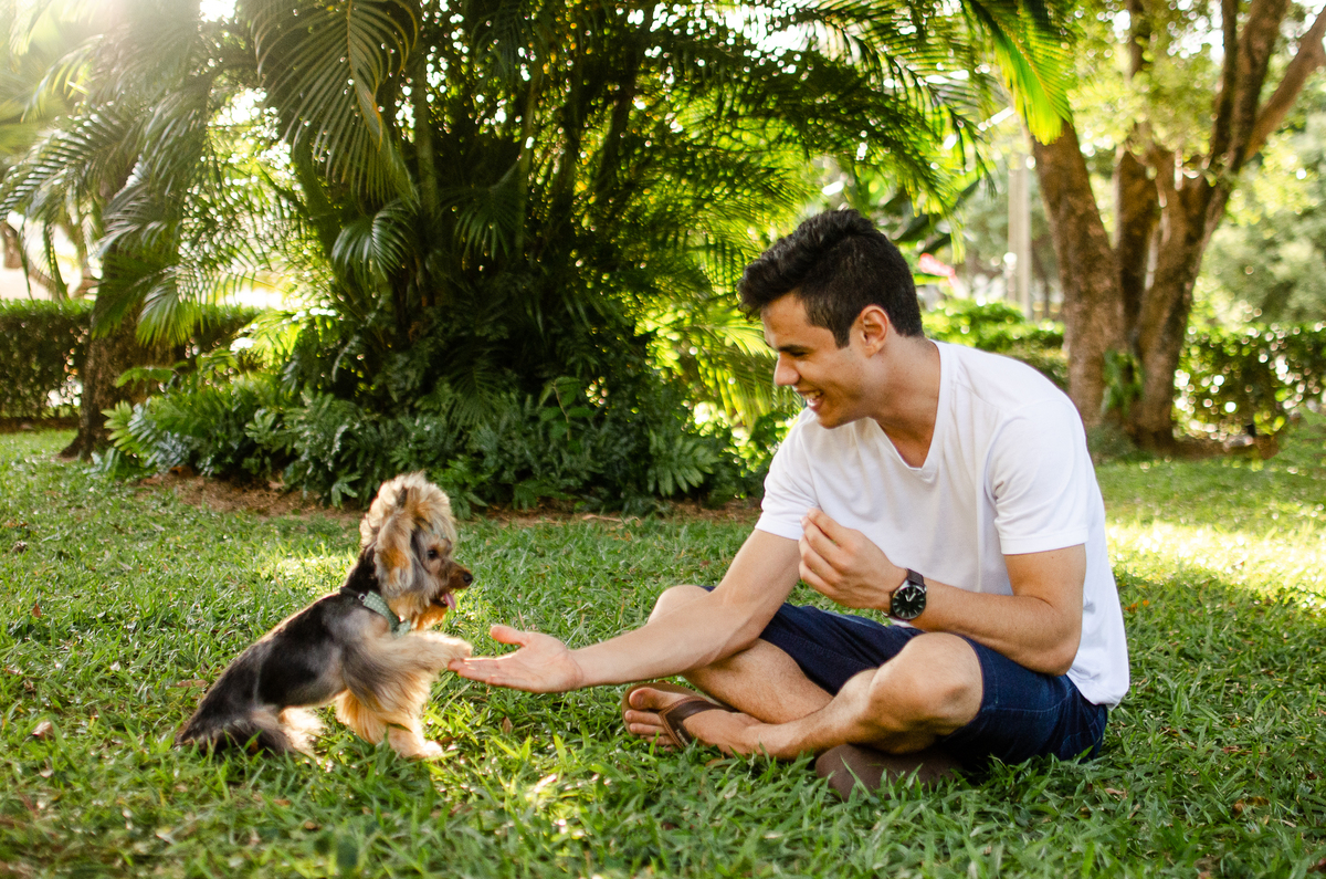 ensaio festa pet, fotografia pet, ufrn, festa pra cachorro, bolo pet, decoração, fotografia pet, ensaio pet, yorkshire natal 