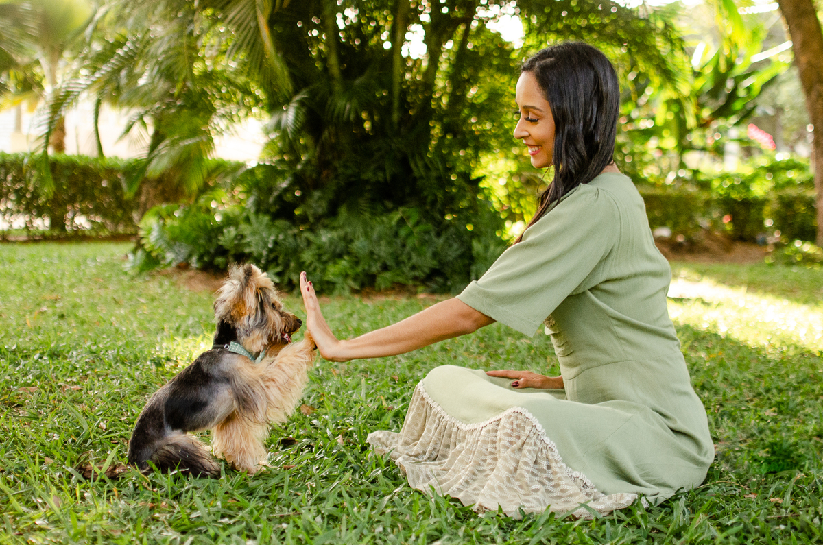 ensaio festa pet, fotografia pet, ufrn, festa pra cachorro, bolo pet, decoração, fotografia pet, ensaio pet, yorkshire natal 
