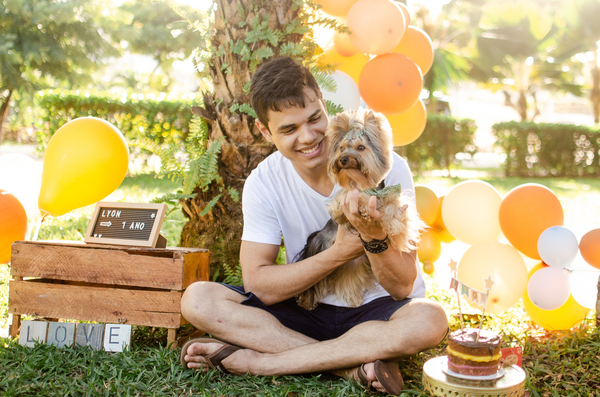 ensaio festa pet, fotografia pet, ufrn, festa pra cachorro, bolo pet, decoração, fotografia pet, ensaio pet, yorkshire natal 