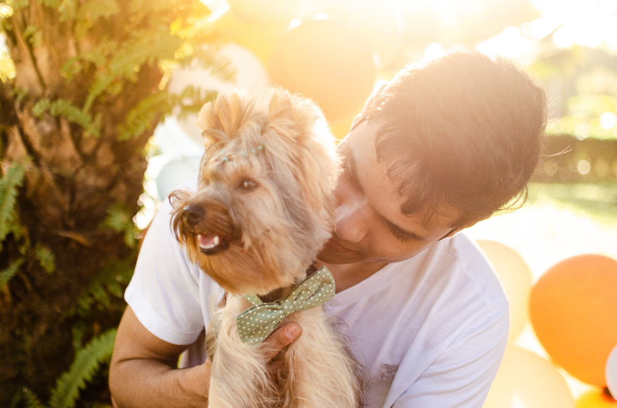 ensaio festa pet, fotografia pet, ufrn, festa pra cachorro, bolo pet, decoração, fotografia pet, ensaio pet, yorkshire natal 