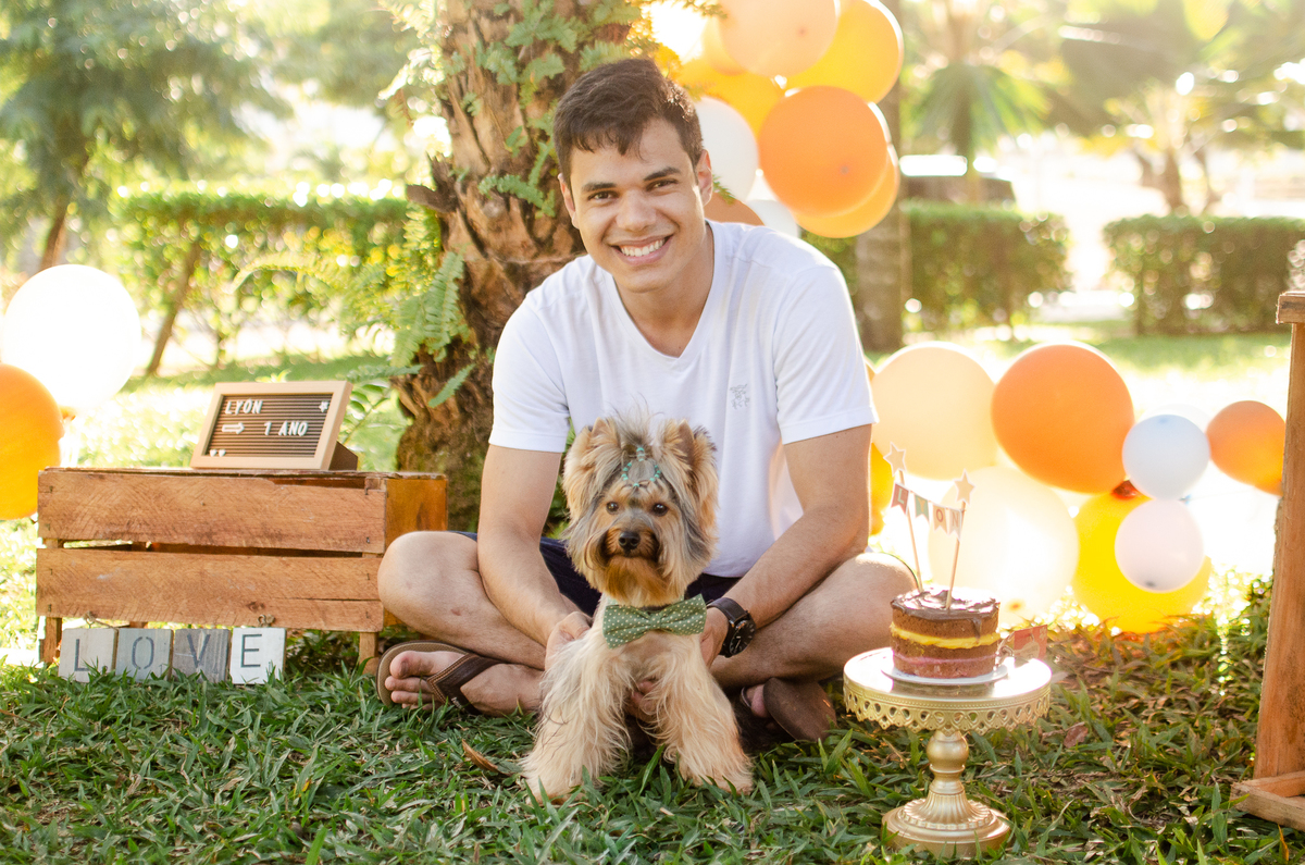 ensaio festa pet, fotografia pet, ufrn, festa pra cachorro, bolo pet, decoração, fotografia pet, ensaio pet, yorkshire natal 