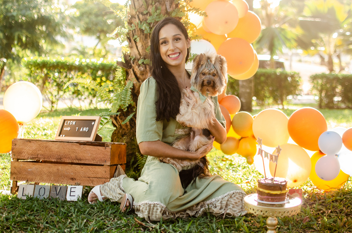 ensaio festa pet, fotografia pet, ufrn, festa pra cachorro, bolo pet, decoração, fotografia pet, ensaio pet, yorkshire natal 