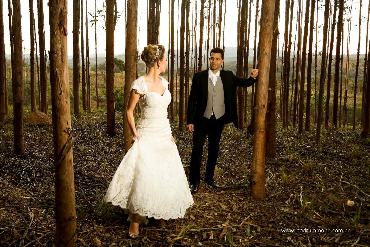 entre arvores, photography wedding