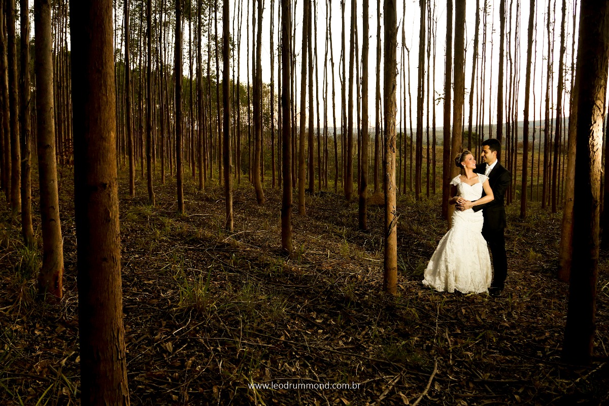 entre arvores, photography wedding