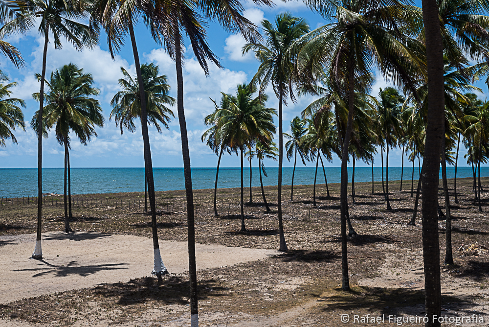 Casamento de Viviane e Gustavo em Barra de Sirinhaém Villa Trinidade fotografado por Rafael Figueiró melhores fotografos de Recife Pernambuco