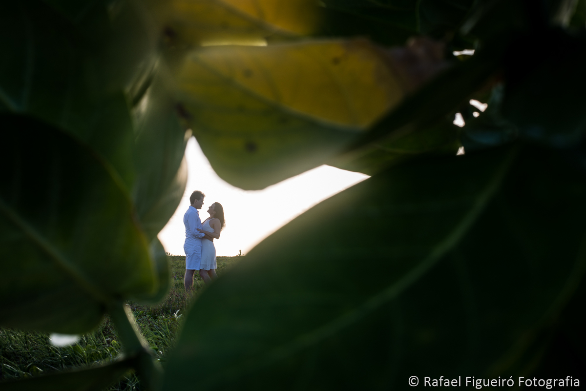 casal abraçado em meio as folhas campo verde grama 