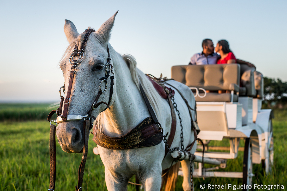 casal namorando cavalo charrete casa de campo 