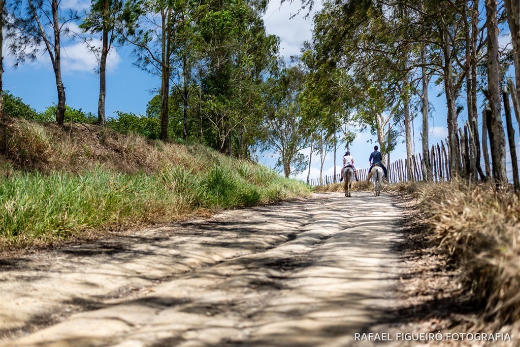 casal cavalgando cavalos sombras arvores eucaliptos fazenda campo rancho