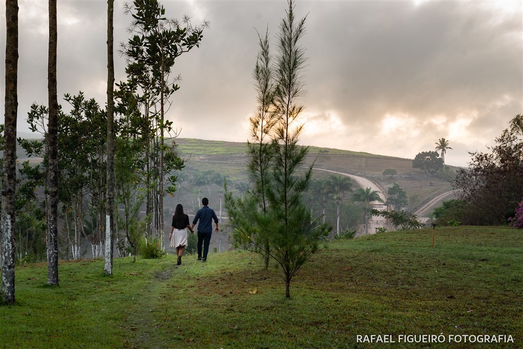 casal caminhando eucaliptos horizonte lindo de costas