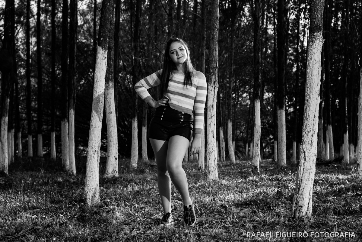 sol nascer contra luz recorte lateral floresta pinheiros eucaliptos debutante menina sorriso olhos preto e branco pb