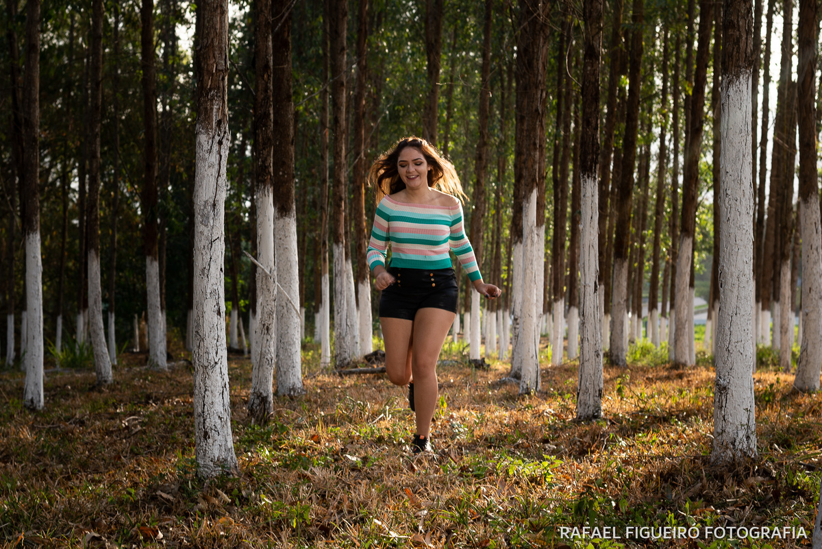 debutante correndo camelo iluminado recorte contra luz floresta eucaliptos pinheiro arvores