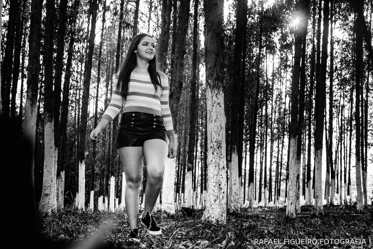 debutante andando caminhando charme crarmosa camelo iluminado recorte contra luz floresta eucaliptos pinheiro arvores pb preto e branco