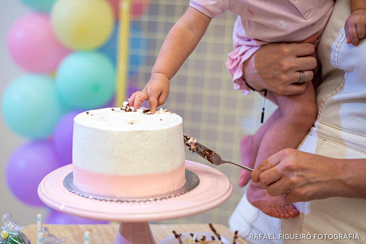 festa aniversário infantil lids baby fotógrafo família family 