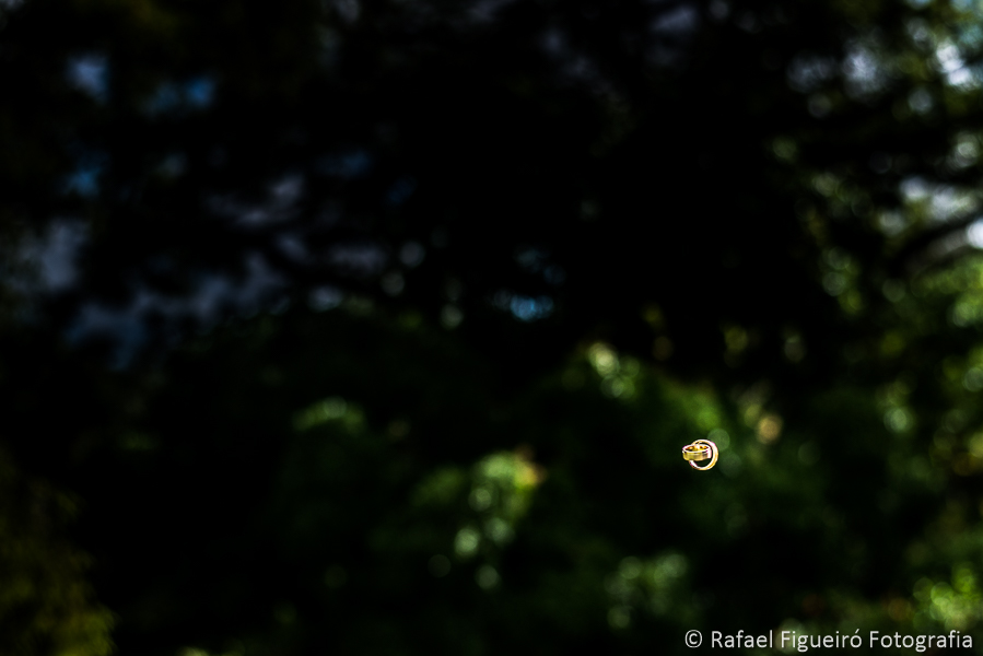 alianças dos noivos voando fotografado por Rafael Figueiró fotógrafo de casamentos em Recife Pernambuco