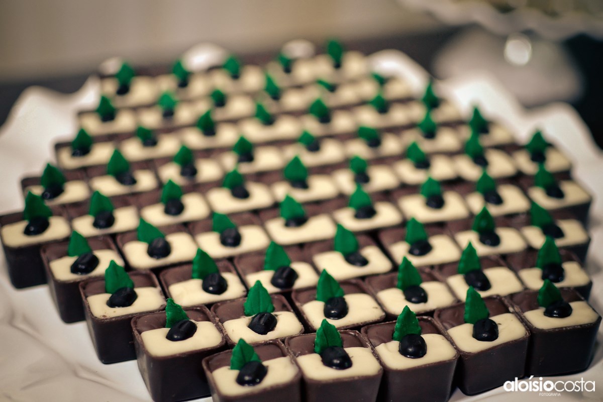 Casamento, yana, alexandre, cacculé, amor, wedding, igreja matriz, making-off, petúnia, noivas, casal, buffet, aloisio costa