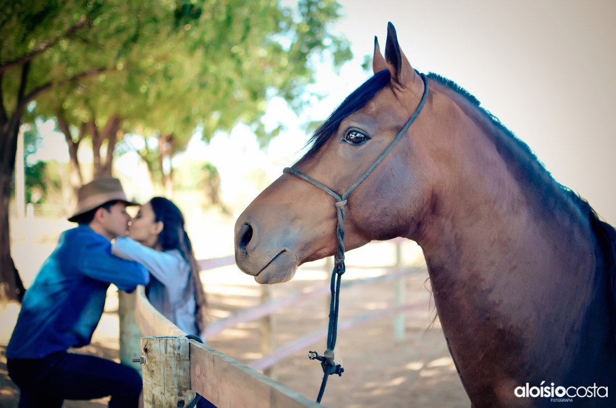 pré wedding, cacule, haras, cavalo, fazenda, amor, casal, luana, leandro, casamento