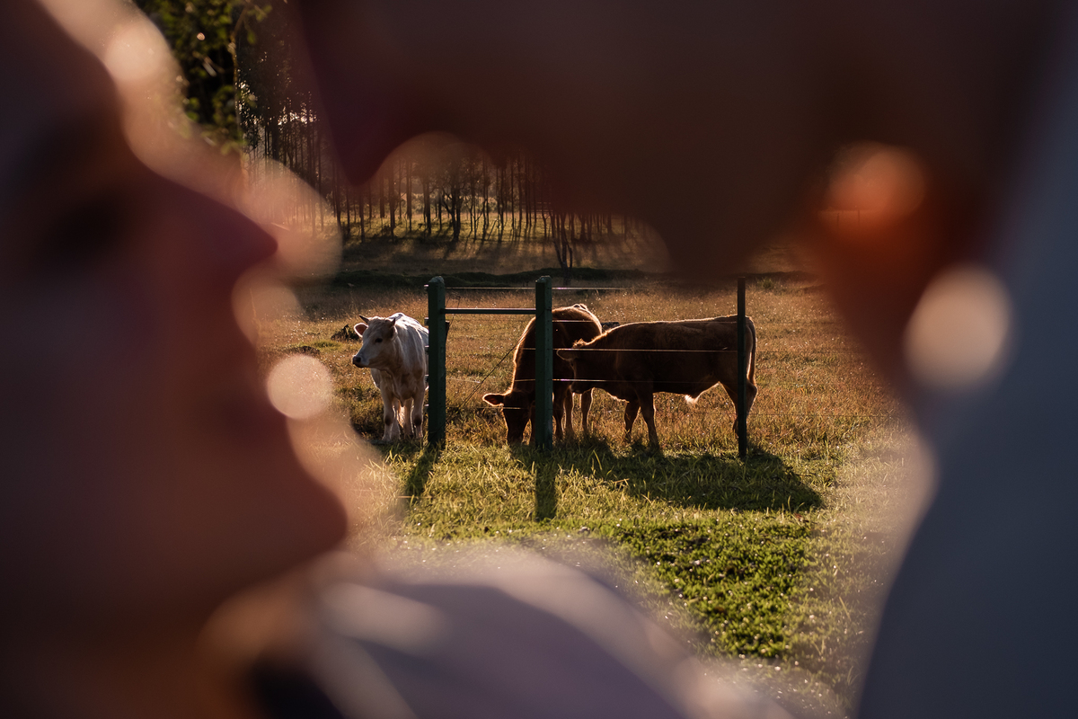 pre-wedding-sao-luiz-puruna-ricardo-soca-39