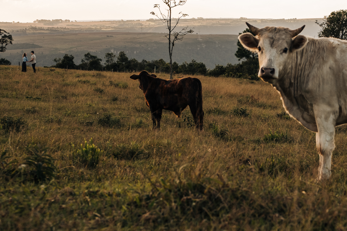 pre-wedding-sao-luiz-puruna-ricardo-soca-32