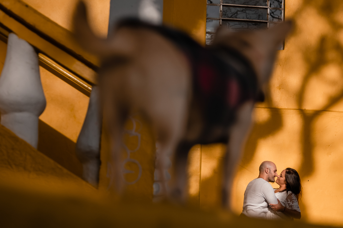 ensaio-prewedding-parque-barigui-curitiba-taisa-felipe-12