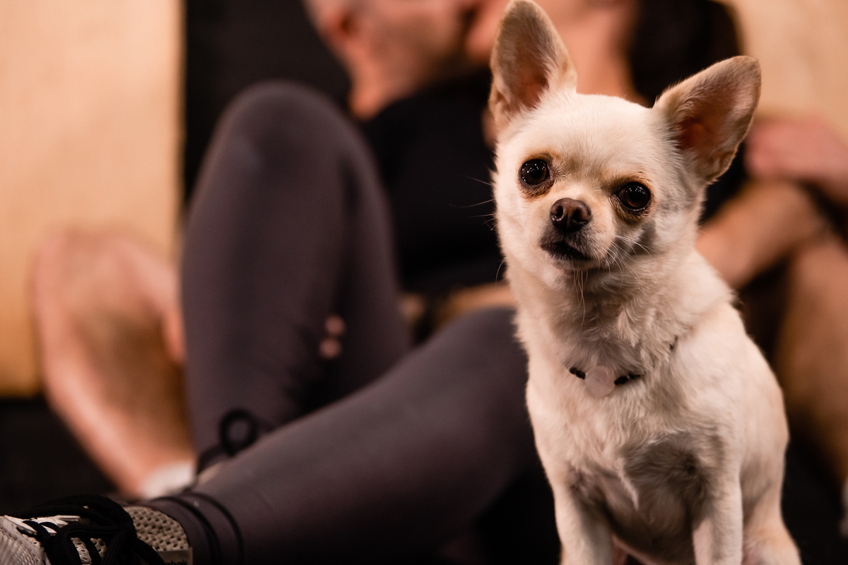 ensaio-prewedding-parque-barigui-curitiba-taisa-felipe-31