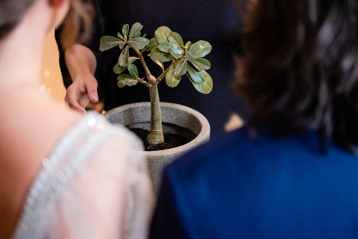cerimônia de confirmação de votos