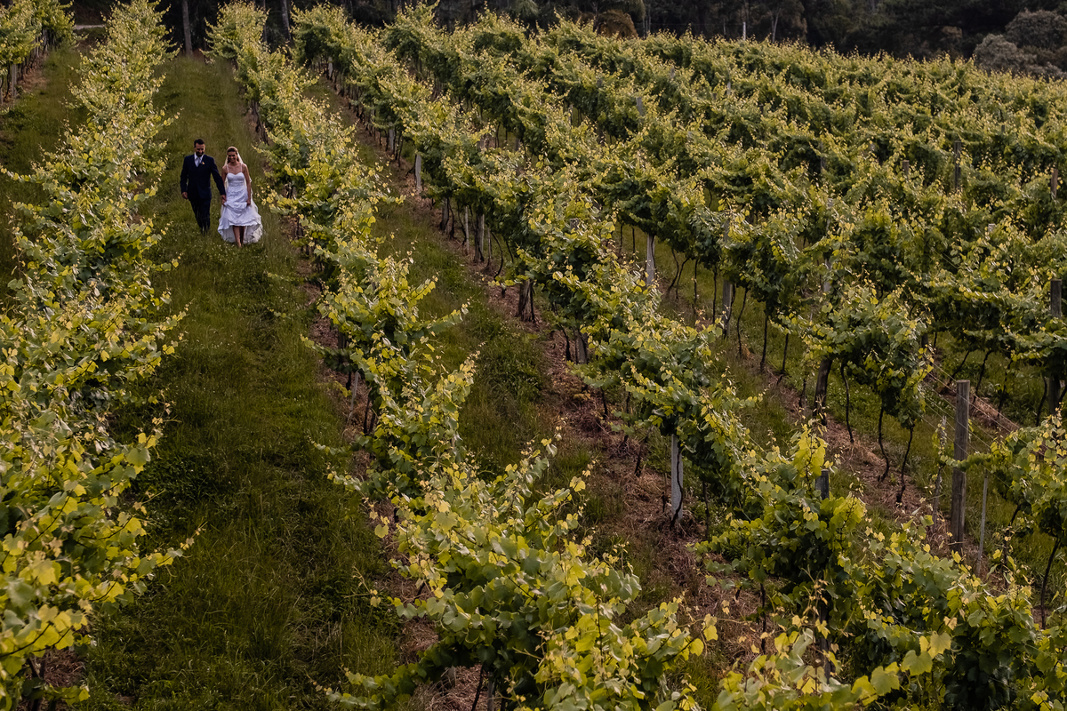 ensaio pós casamento vinícola