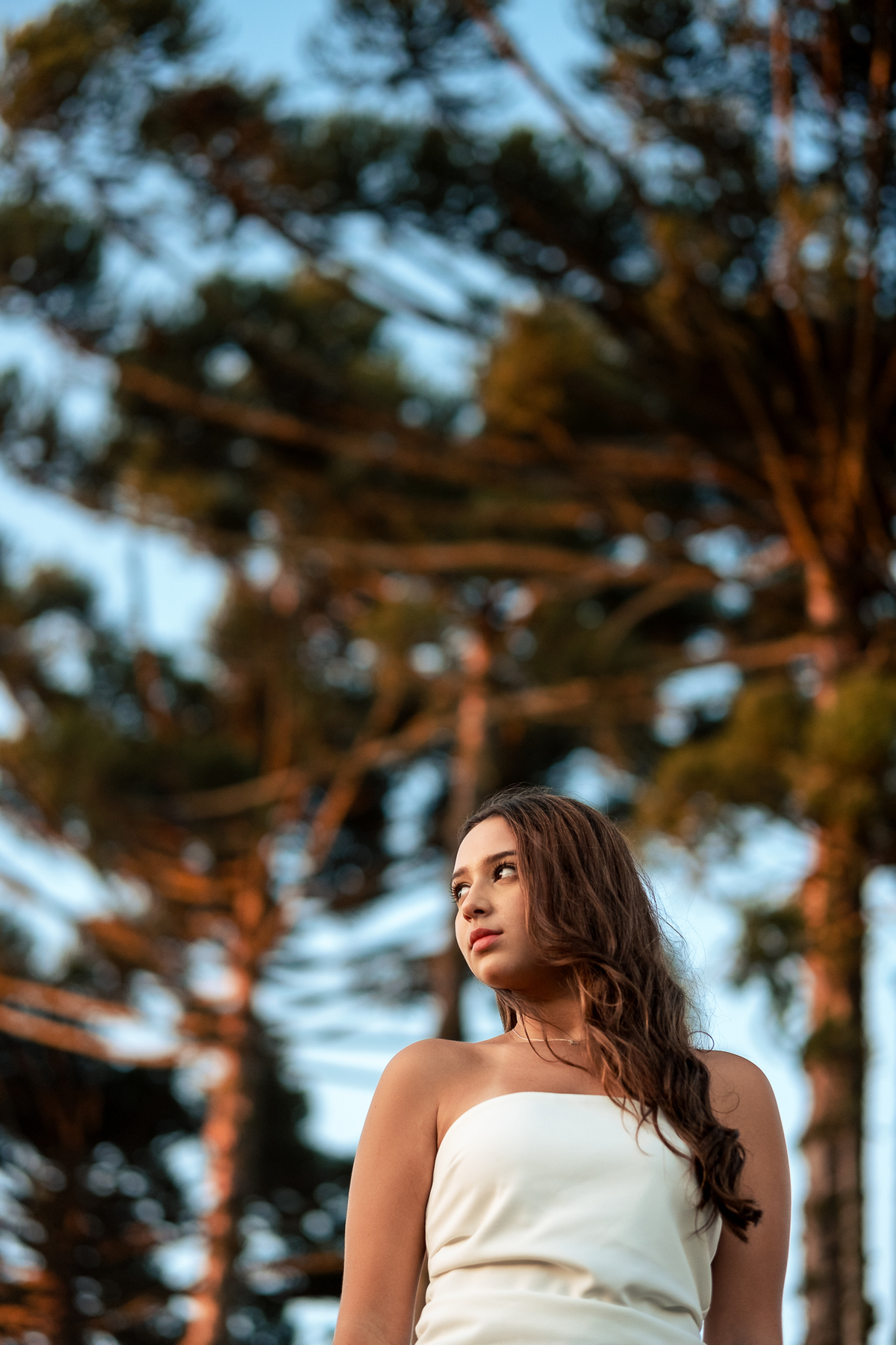 leticia-vestido-branco-araucárias