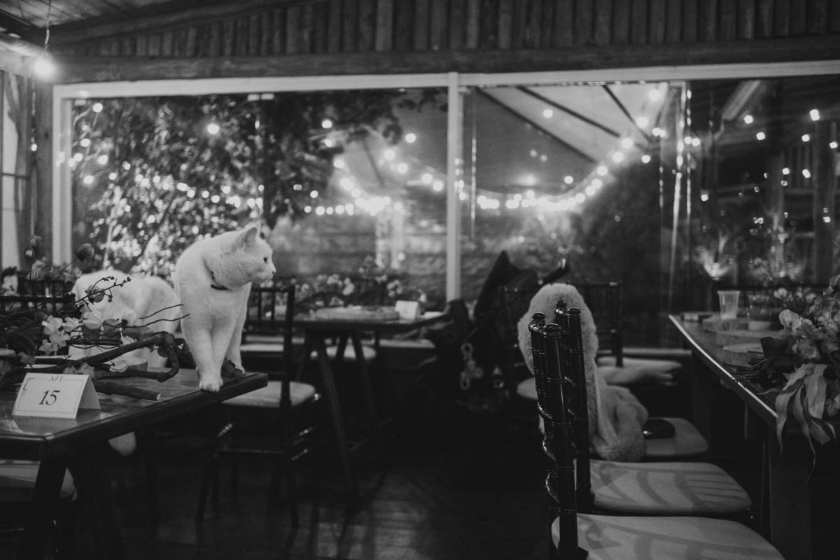 fotografo-casamento-ao-ar-livre-rancho-p-e-r-puruna-gato