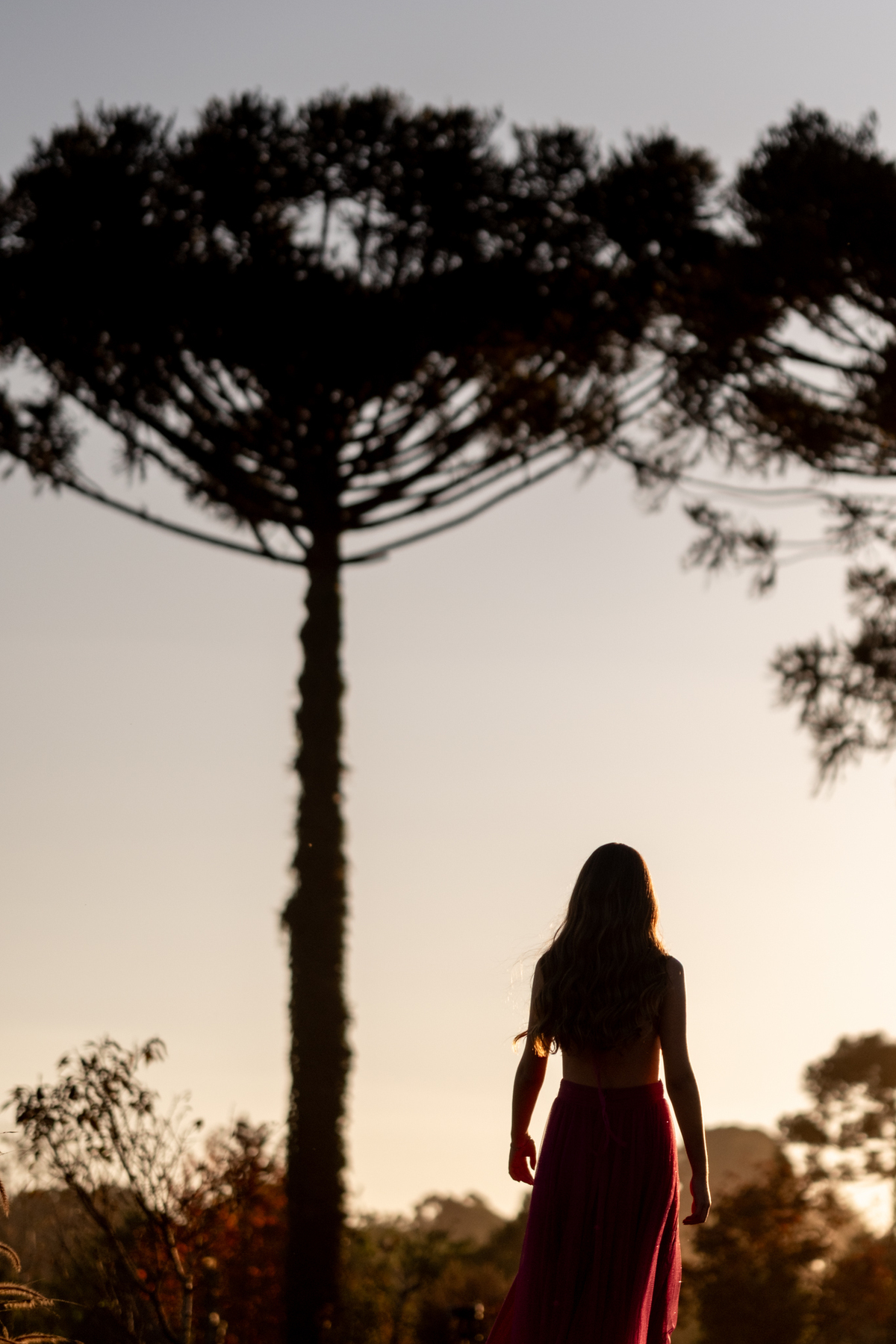 maria-alicia-ensaio-15-anos-lavandario