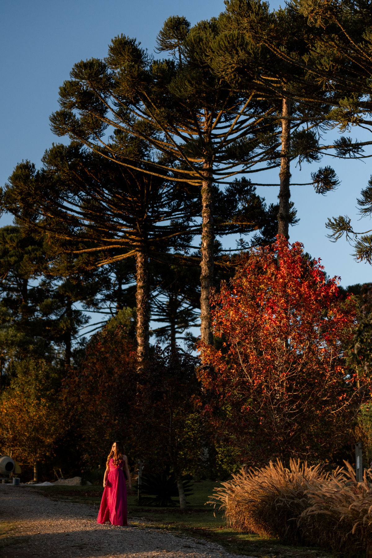 maria-alicia-ensaio-15-anos-lavandario