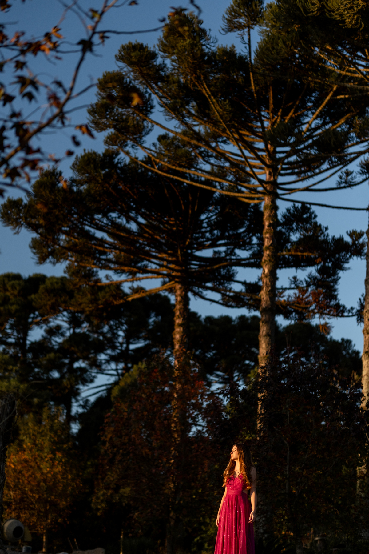 maria-alicia-ensaio-15-anos-lavandario