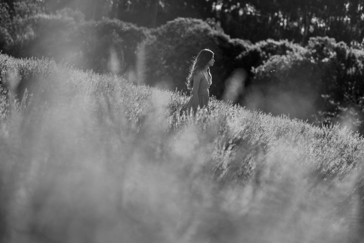 maria-alicia-ensaio-15-anos-lavandario