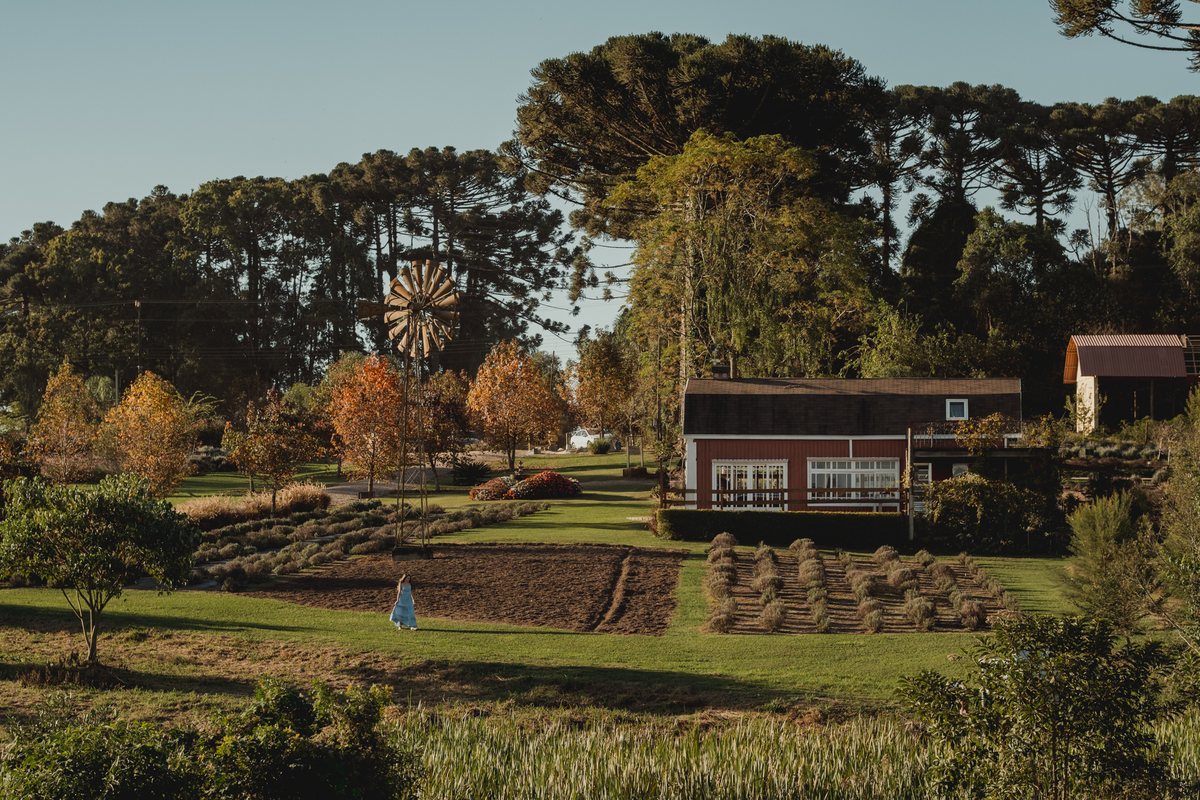 maria-alicia-ensaio-15-anos-lavandario