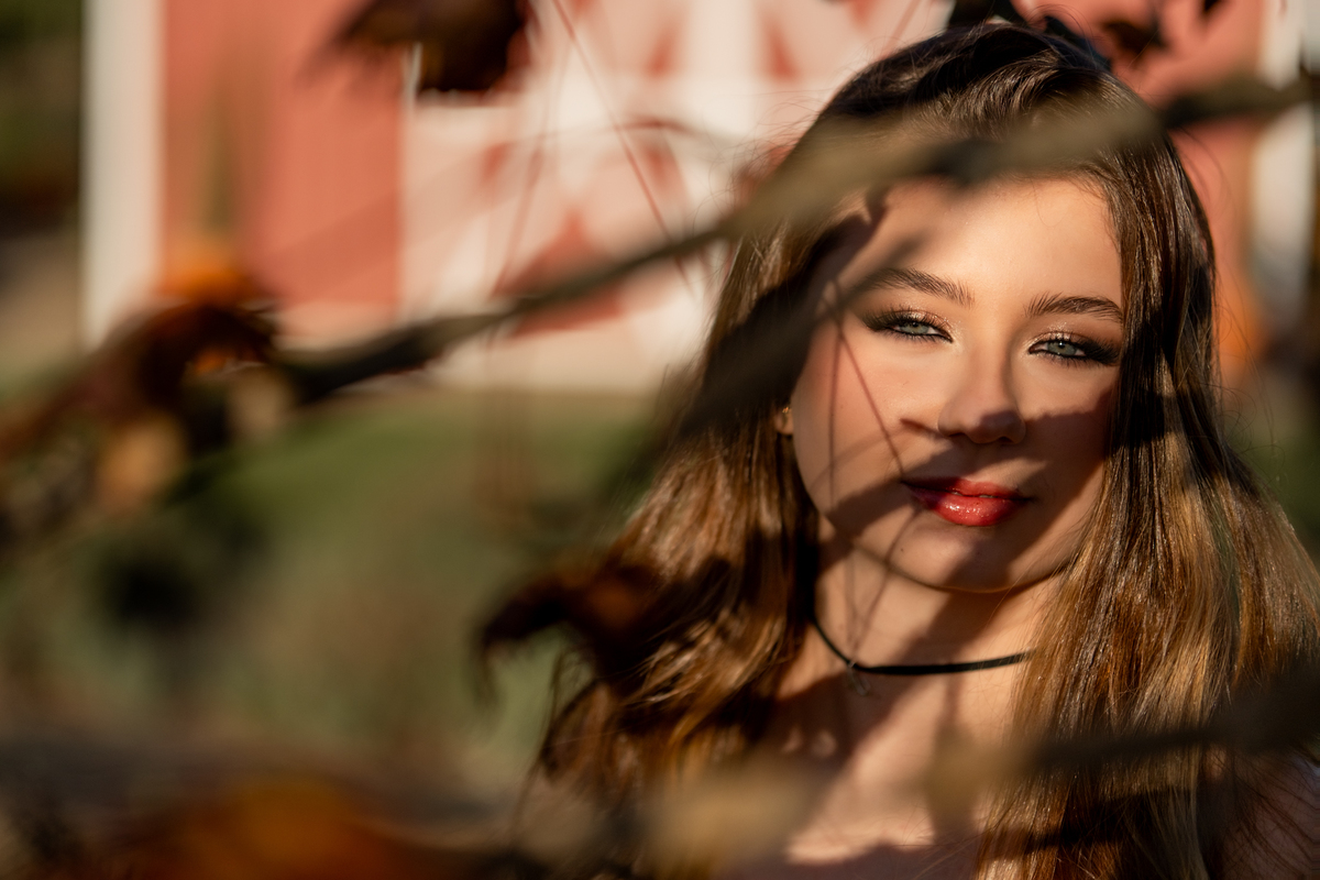 maria-alicia-ensaio-15-anos-lavandario